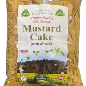 Mustard Cake
